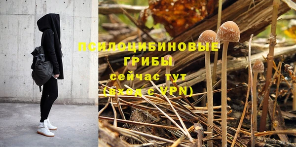 PSILOCYBIN Козельск