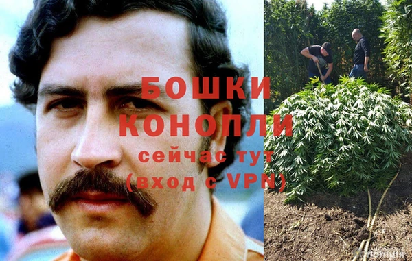 мдпв Кодинск