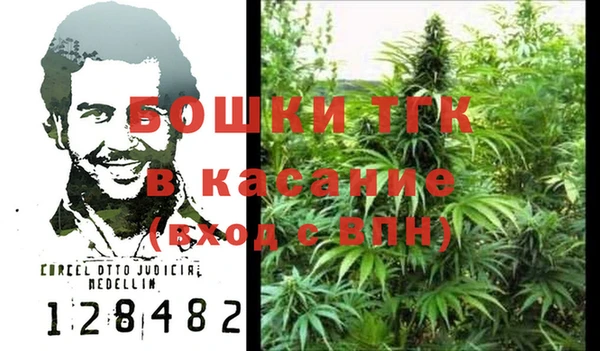 мдпв Кодинск