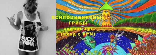 дурь Лихославль