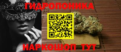 гашик Заводоуковск