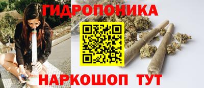 гашик Заводоуковск
