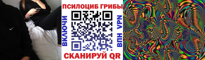 купить наркотик  Рыбинск  Галлюциногенные грибы Psilocybine cubensis 